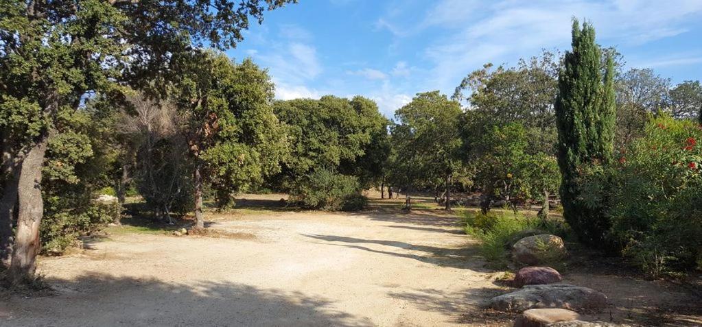 Le Bois De Capra Scorsa Villa Belgodère Eksteriør billede