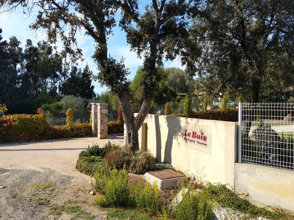 Le Bois De Capra Scorsa Villa Belgodère Eksteriør billede