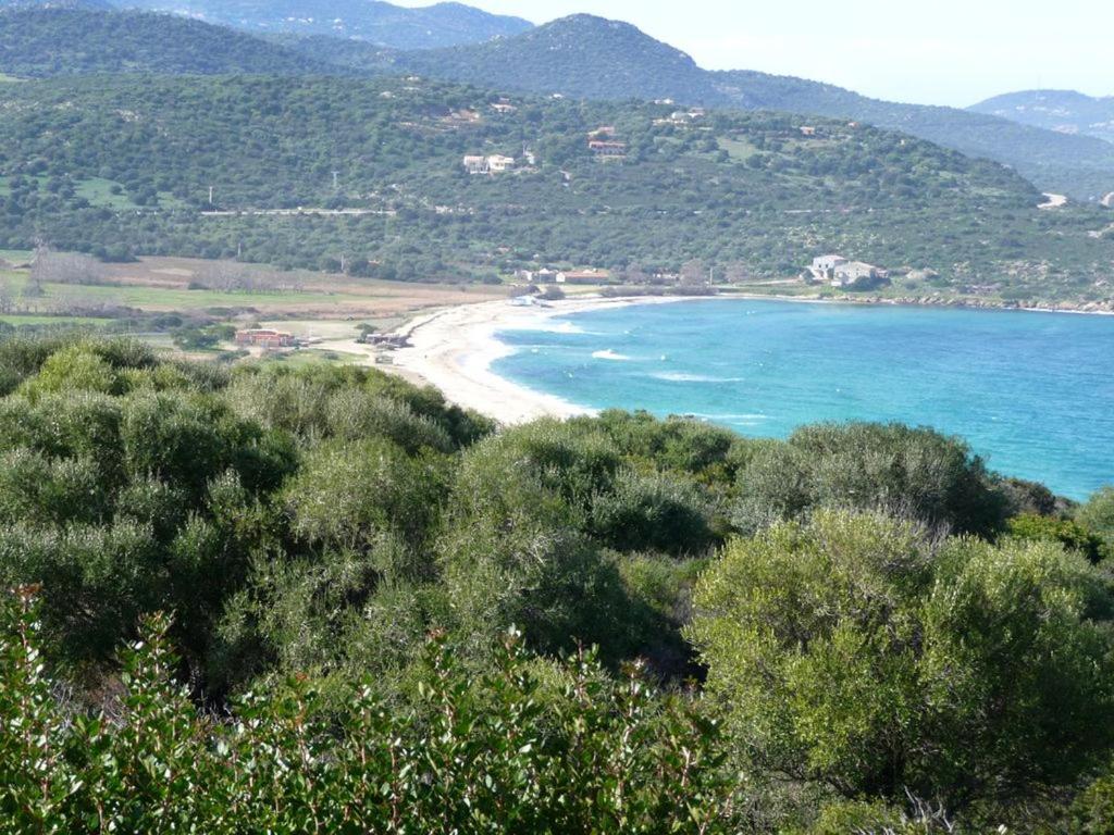 Le Bois De Capra Scorsa Villa Belgodère Eksteriør billede
