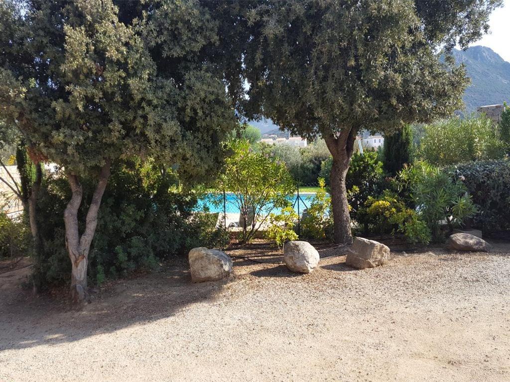 Le Bois De Capra Scorsa Villa Belgodère Eksteriør billede
