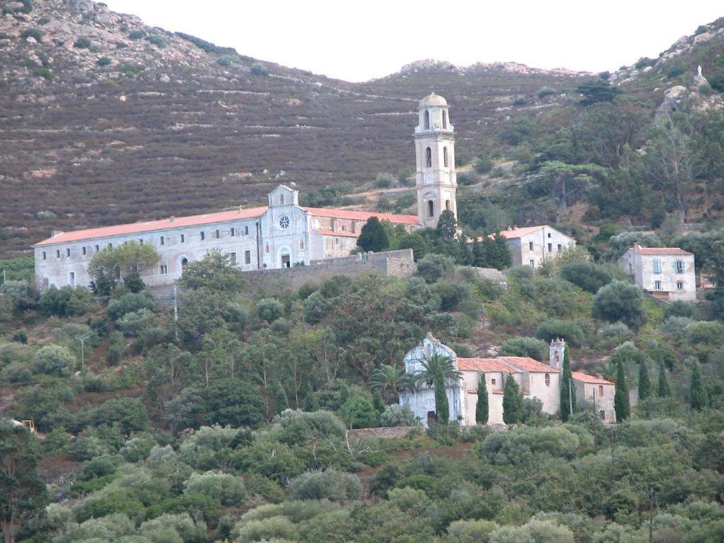 Le Bois De Capra Scorsa Villa Belgodère Eksteriør billede