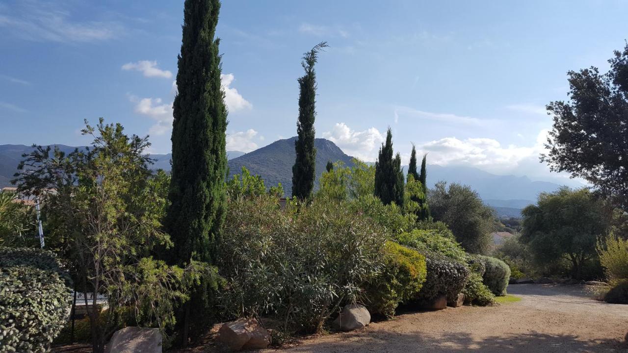 Le Bois De Capra Scorsa Villa Belgodère Eksteriør billede