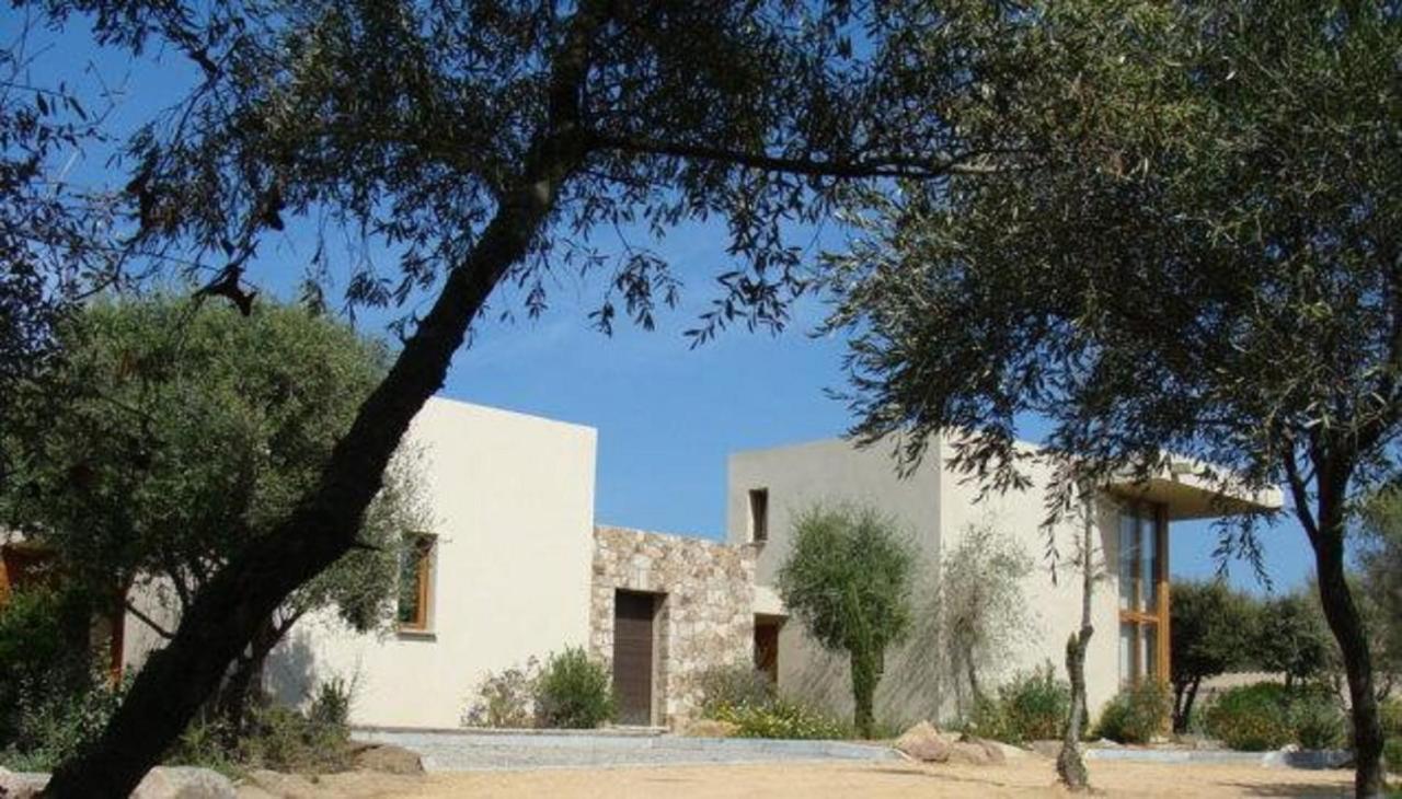 Le Bois De Capra Scorsa Villa Belgodère Eksteriør billede